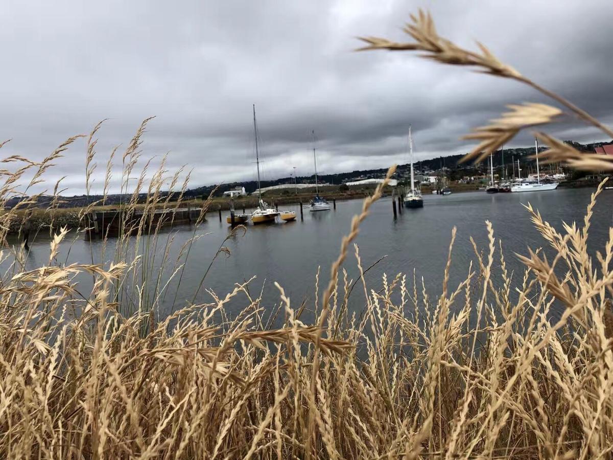 Harbourview Stadium Hotel Dunedin Dış mekan fotoğraf