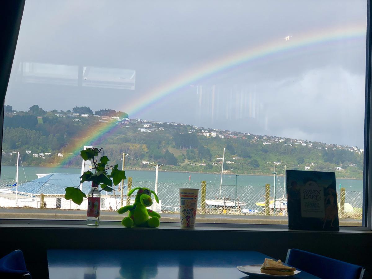 Harbourview Stadium Hotel Dunedin Dış mekan fotoğraf